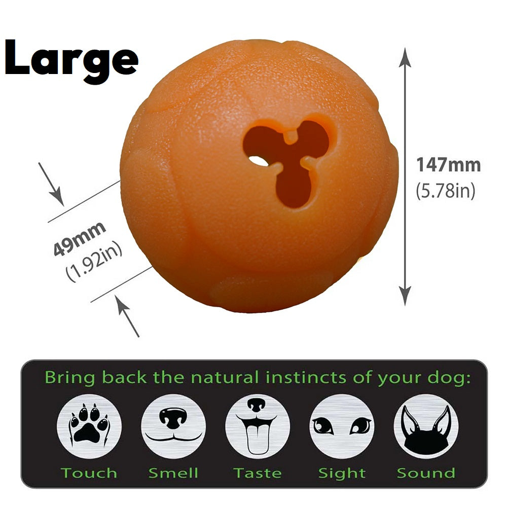 Aussie Dog Buddy Ball