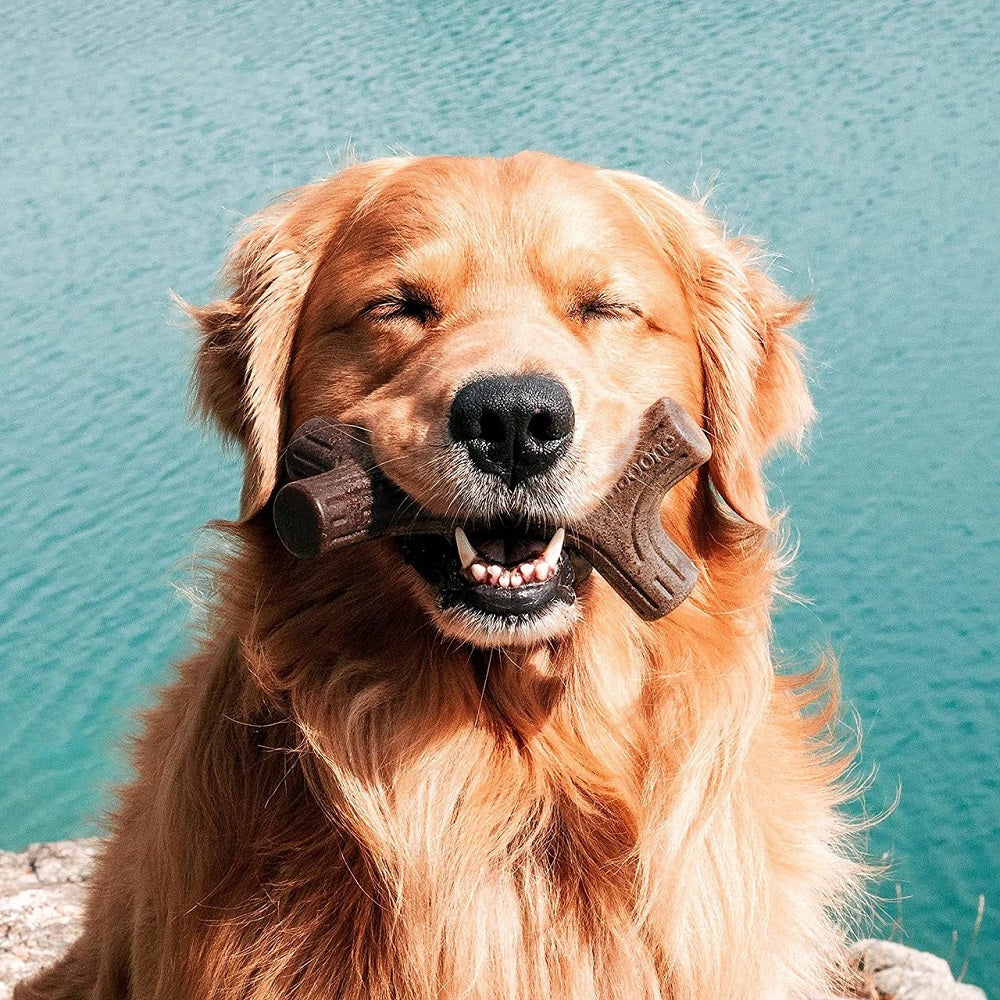 Benebone Maplestick