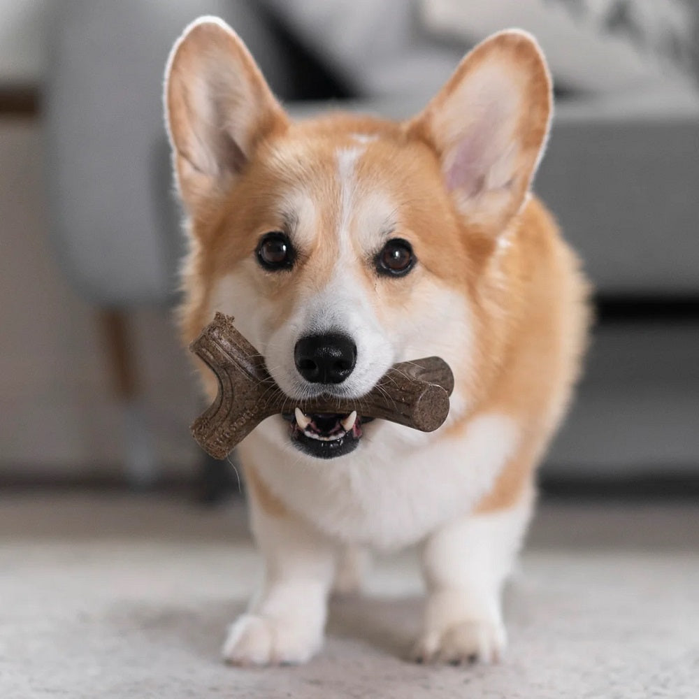 Benebone Maplestick