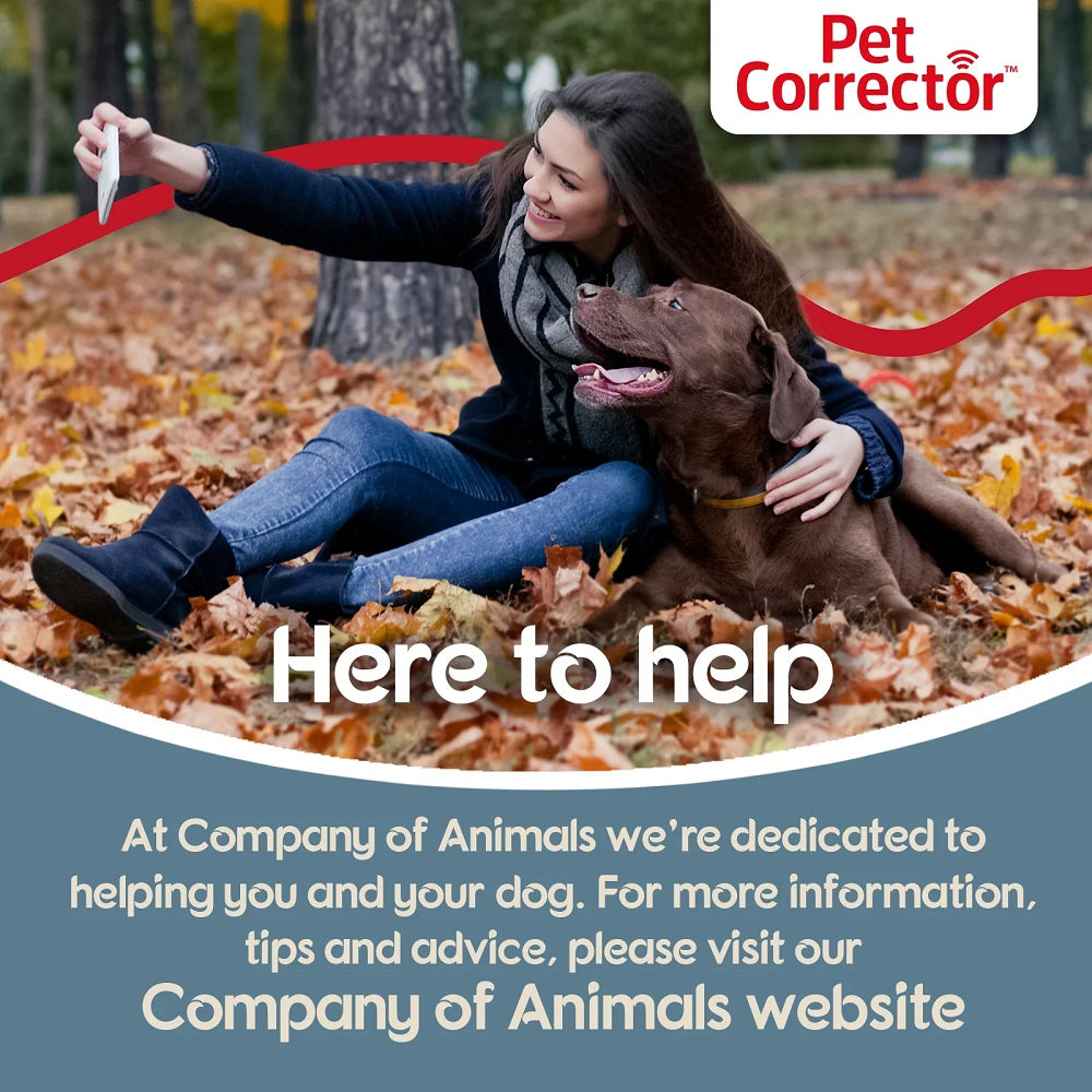 Pet Corrector by Company of Animals