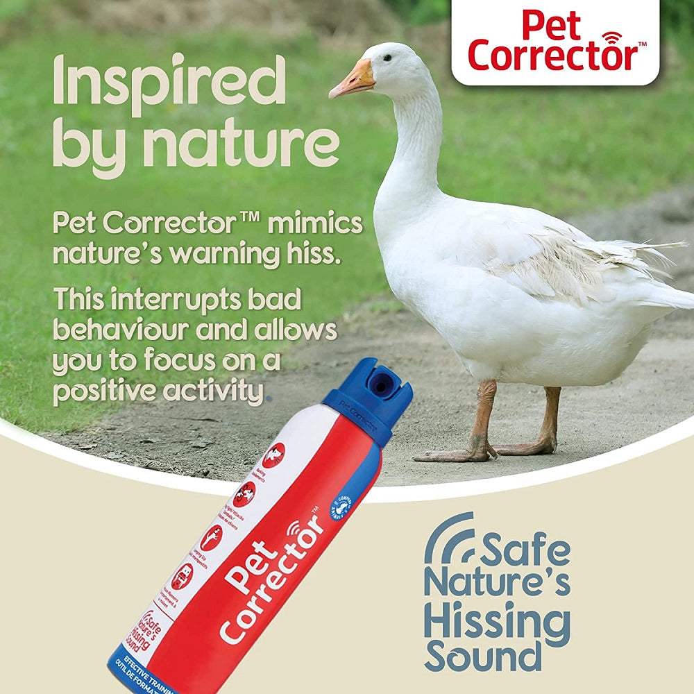 Pet Corrector by Company of Animals