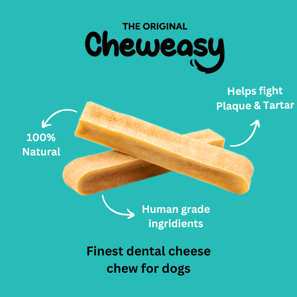 Cheweasy Dental Chew Bars - Himalayan Yak Chew