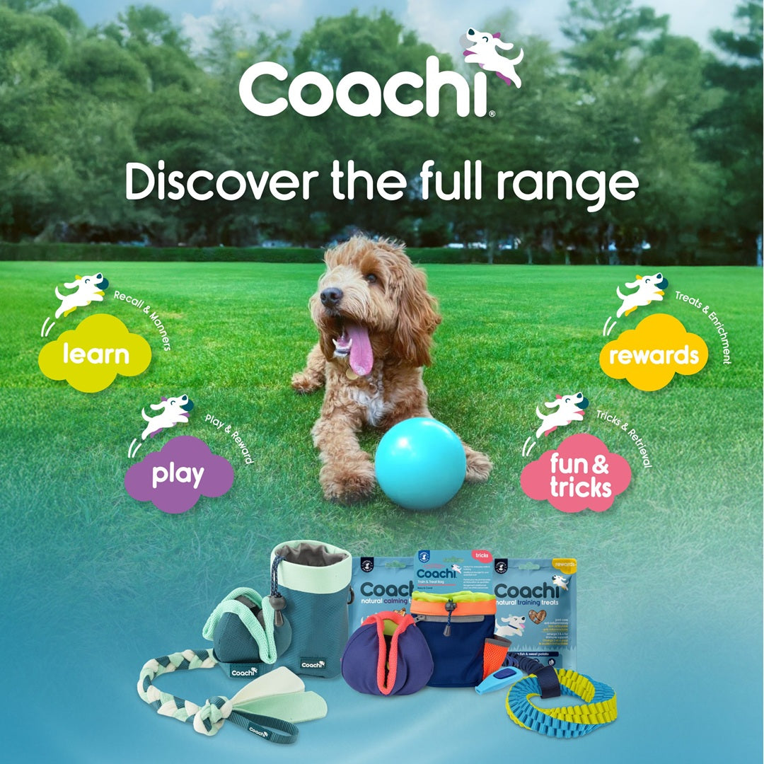 Boomer Ball (Now Coachi Boomi Ball)) – The Ultimate Tough Toy