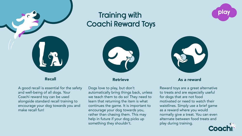 Coachi - Chase and Treat