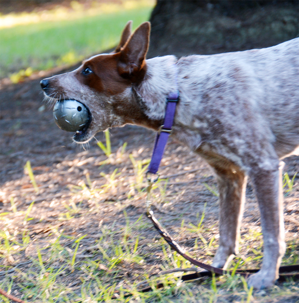 Orbee Tuff Diamond Plate Ball