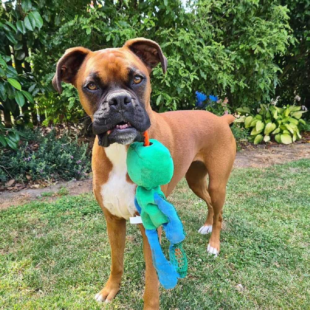 GiGwi Monster Rope Plush Dog Toy