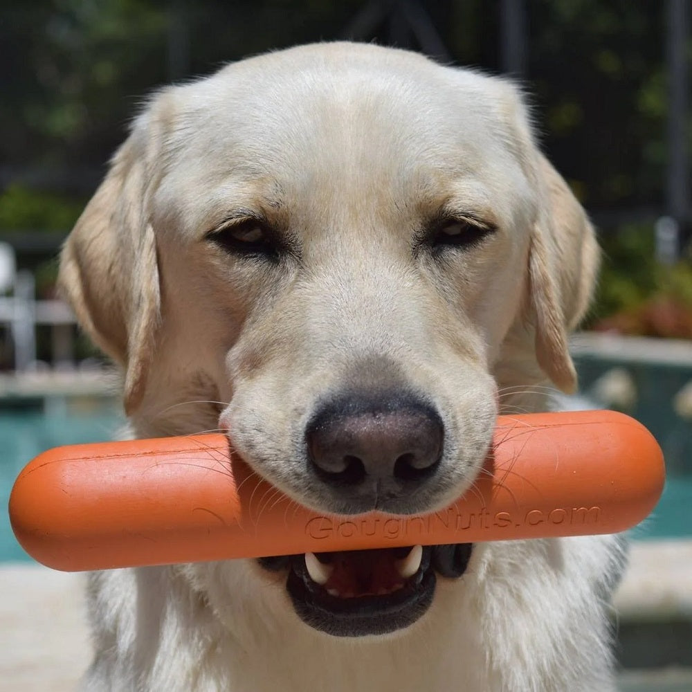 Goughnuts Stick - Small Orange