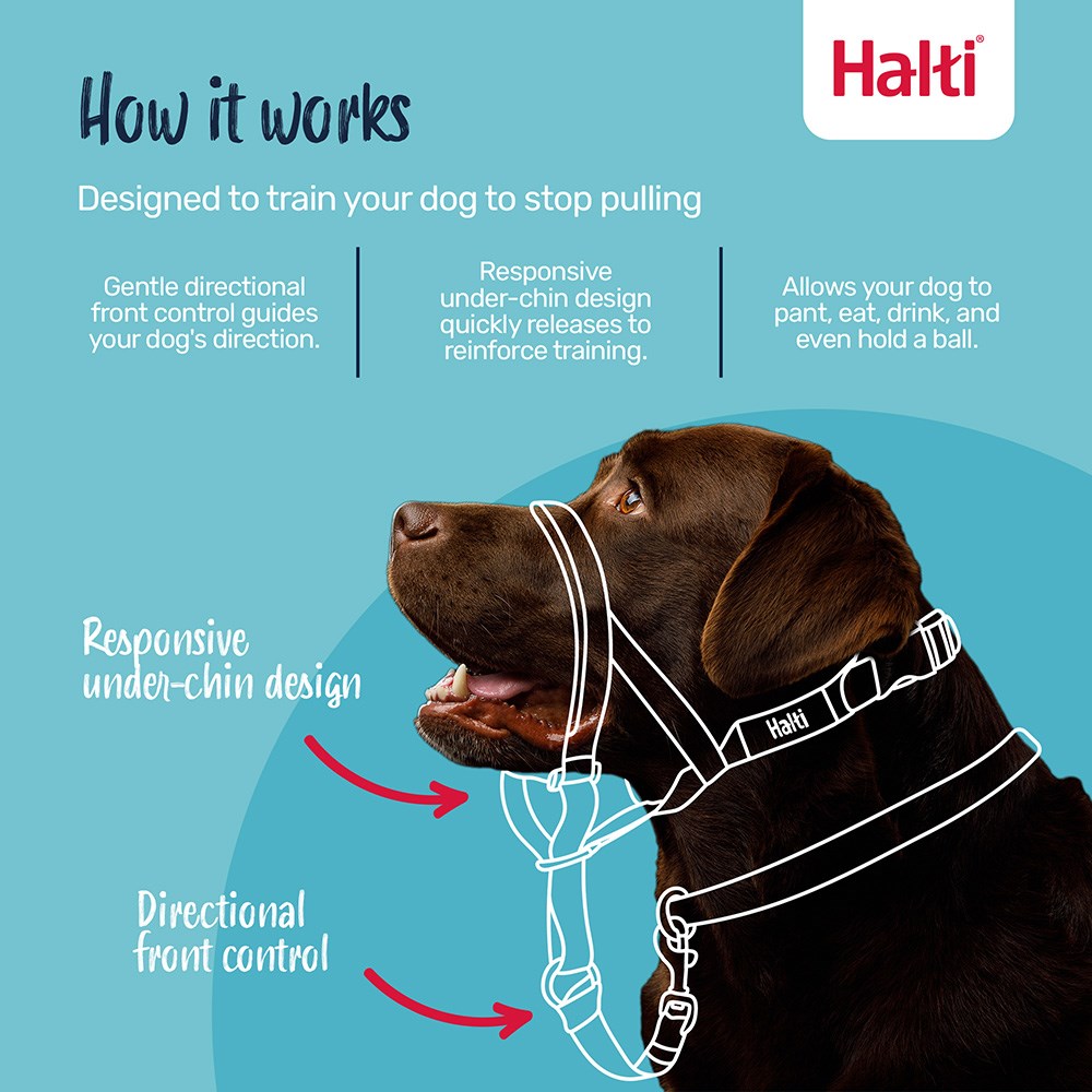 Halti Head Collar