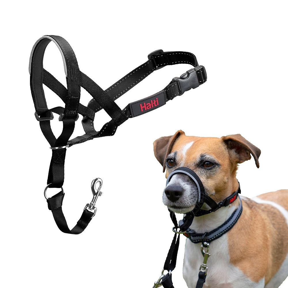 Halti Head Collar