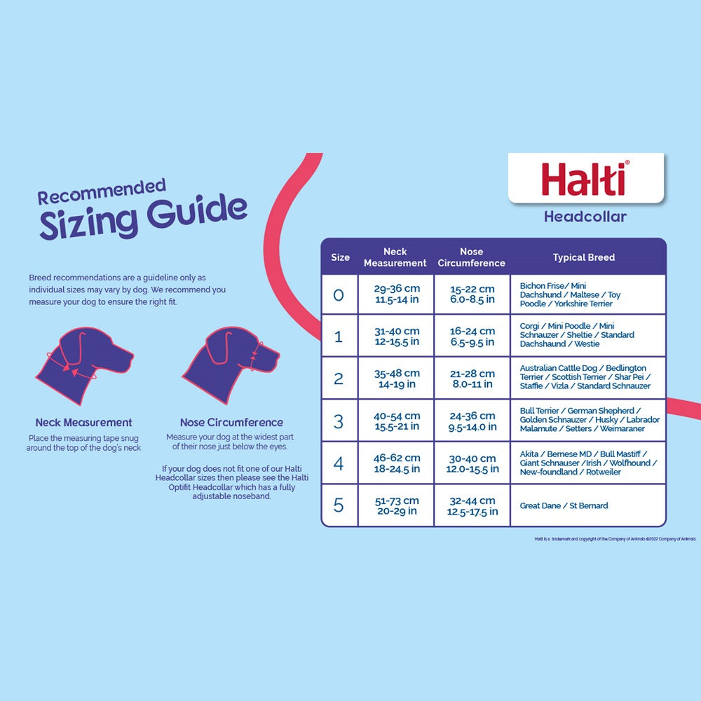 Halti Head Collar
