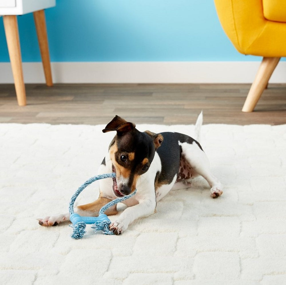 KONG Puppy Goodie Bone with Rope