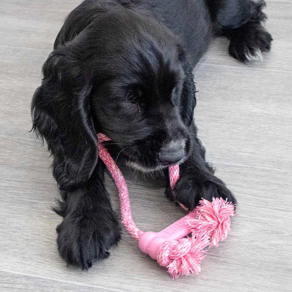KONG Puppy Goodie Bone with Rope