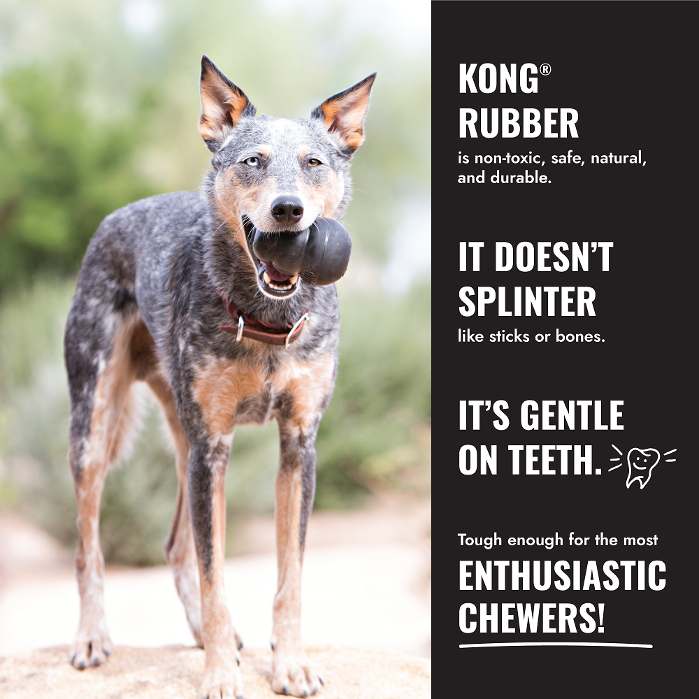 Kong Ball Extreme with Rope