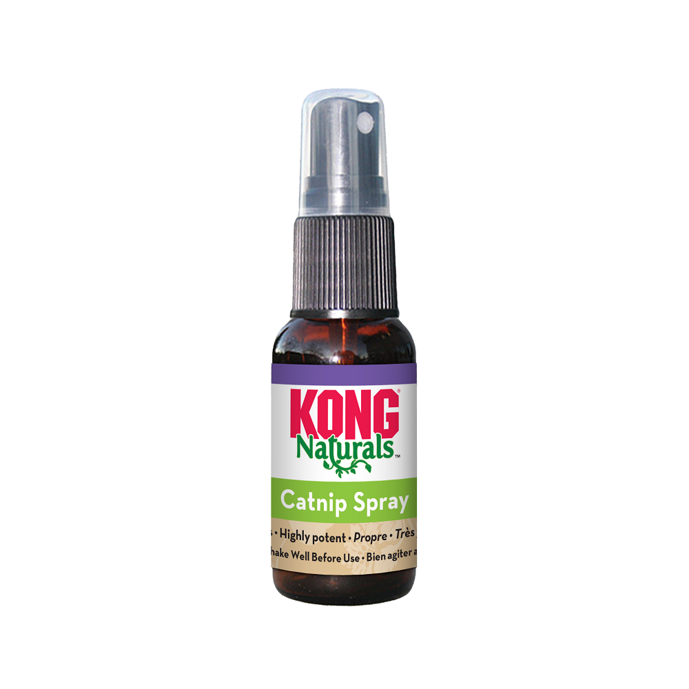 Kong Naturals Catnip Spray