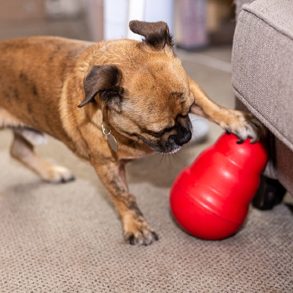 Kong Wobbler