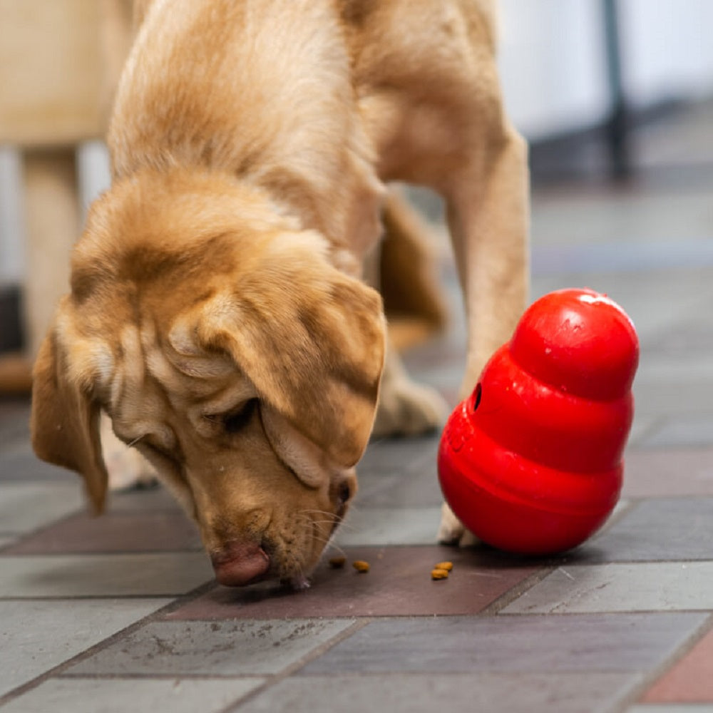 Kong Wobbler