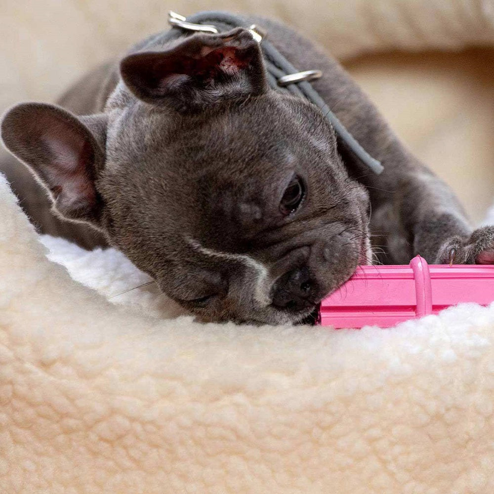 Kong Puppy Teething Stick
