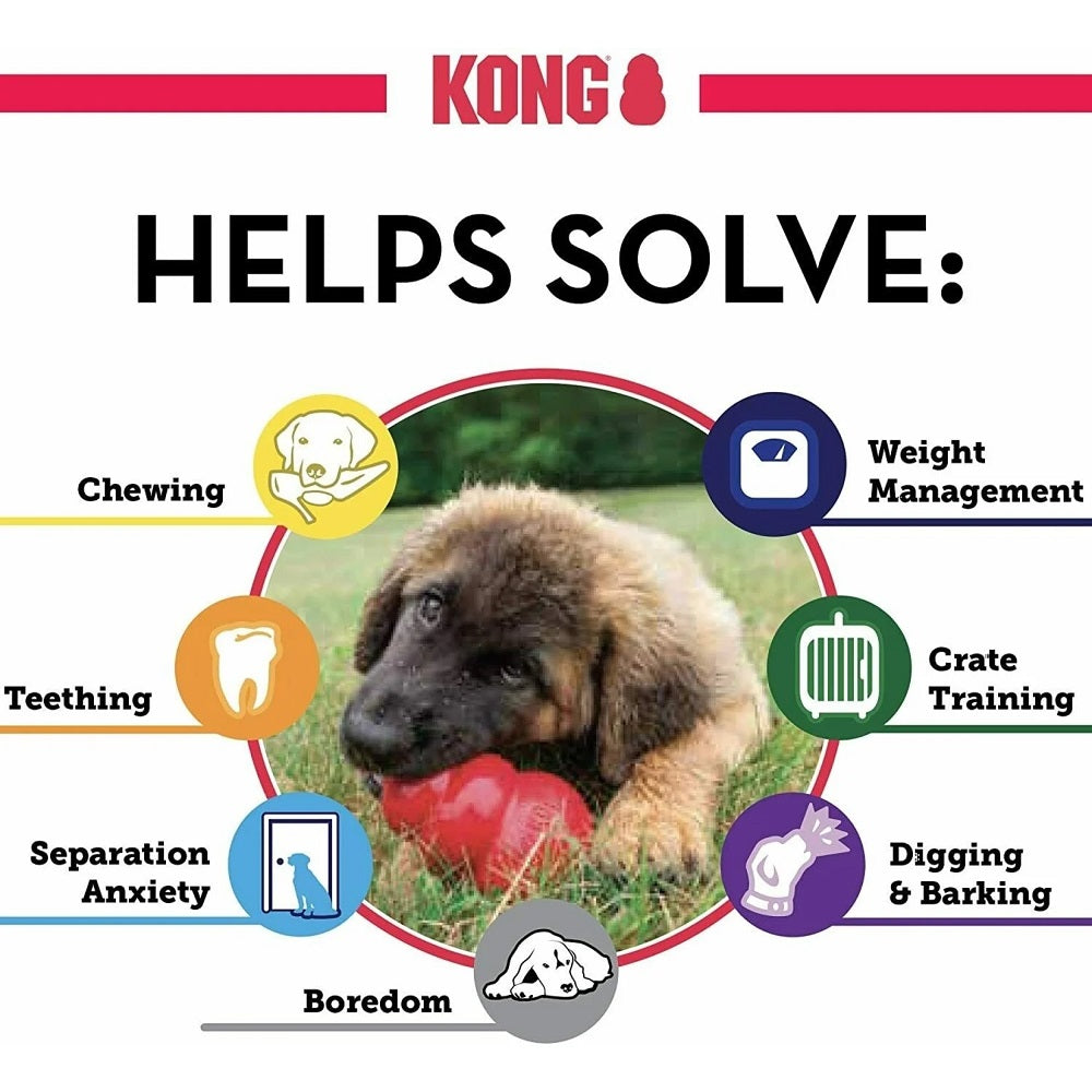 Kong Puppy Teething Stick