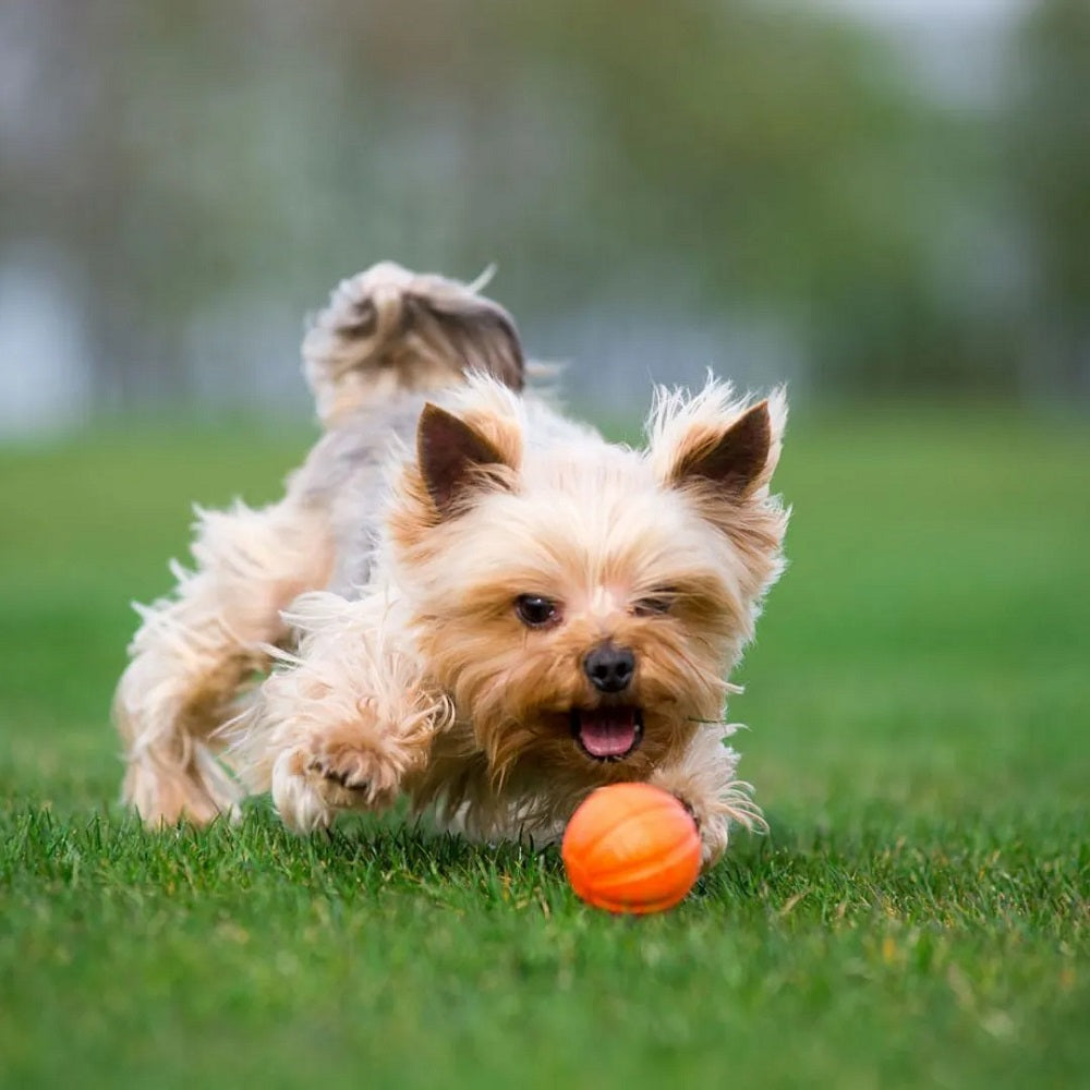 Liker Ball