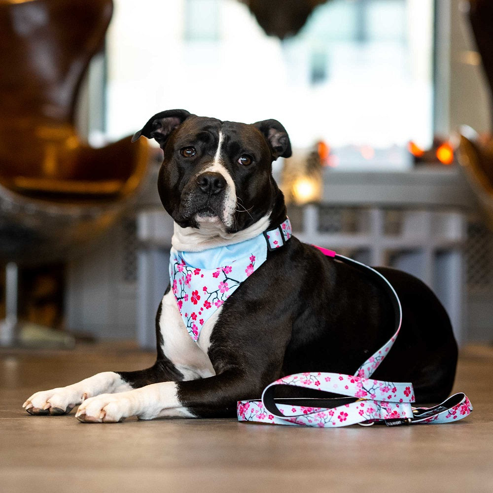 Cheery Bloom Bandana by Max and Molly