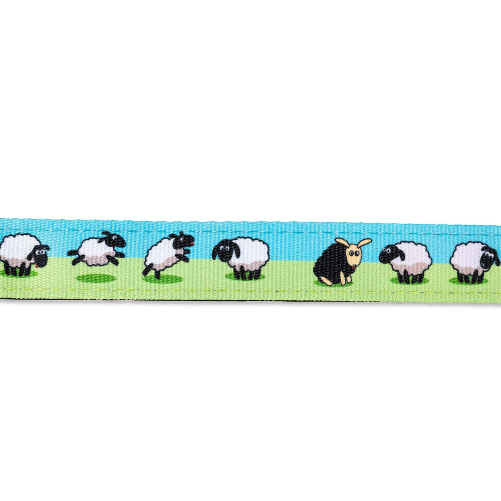 Black Sheep Dog Lead by Max & Molly
