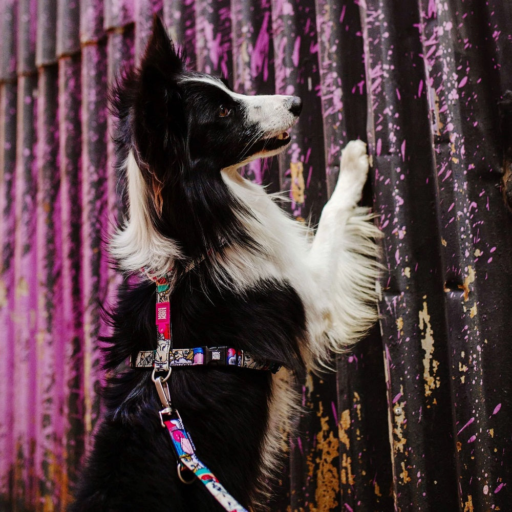 "Comic" Dog Lead by Max & Molly