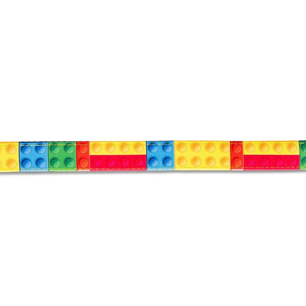"Playtime 2.0" Dog Leash by Max & Molly