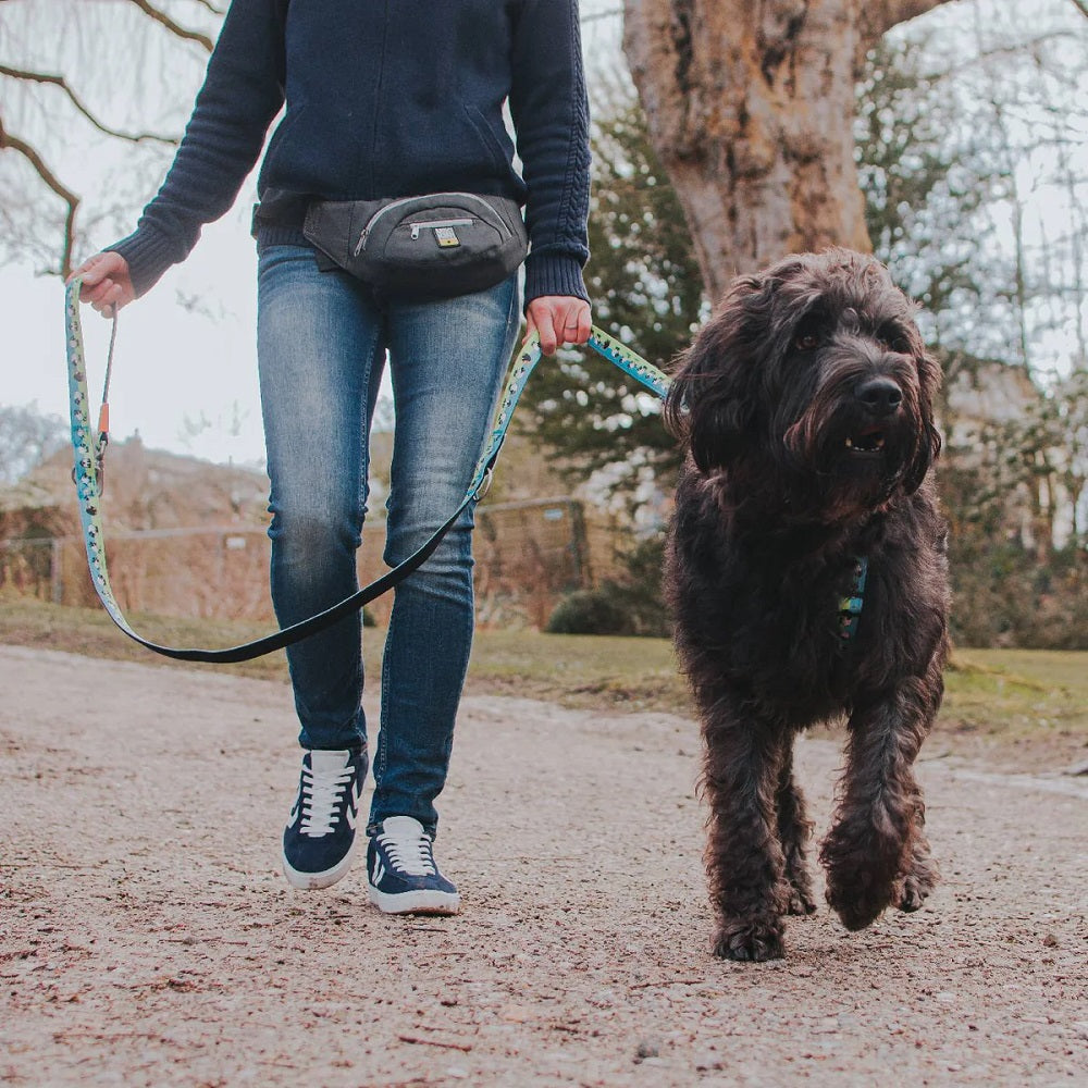 Max and Molly Waist Bag
