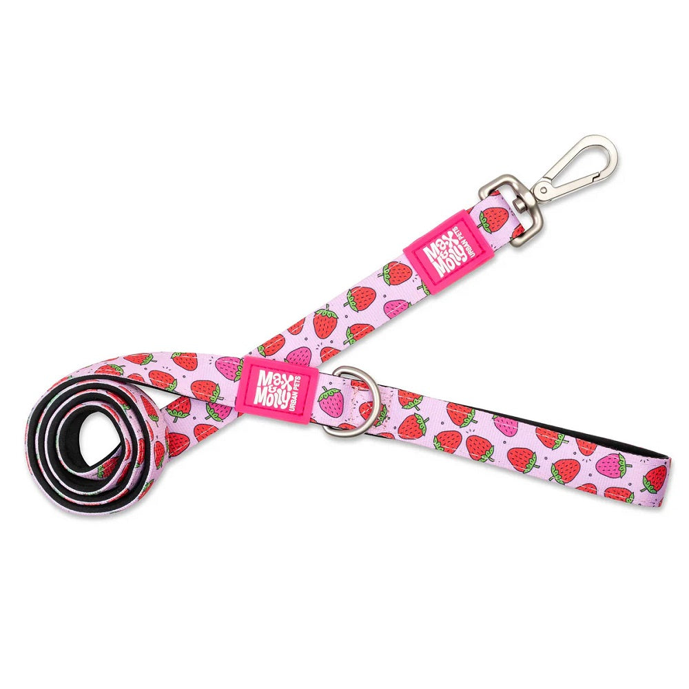 Strawberry Dream Dog Lead by Max & Molly