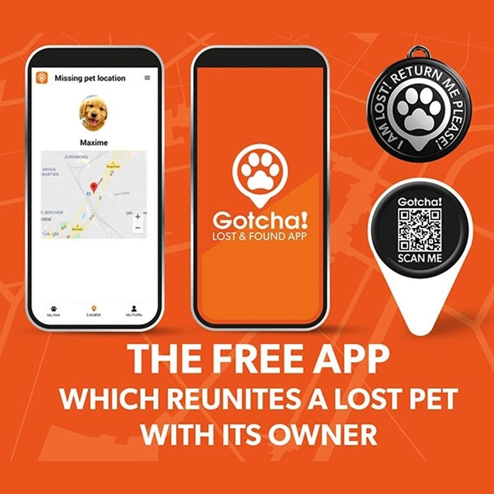 GOTCHA! Smart ID Collar - Strawberry Dream