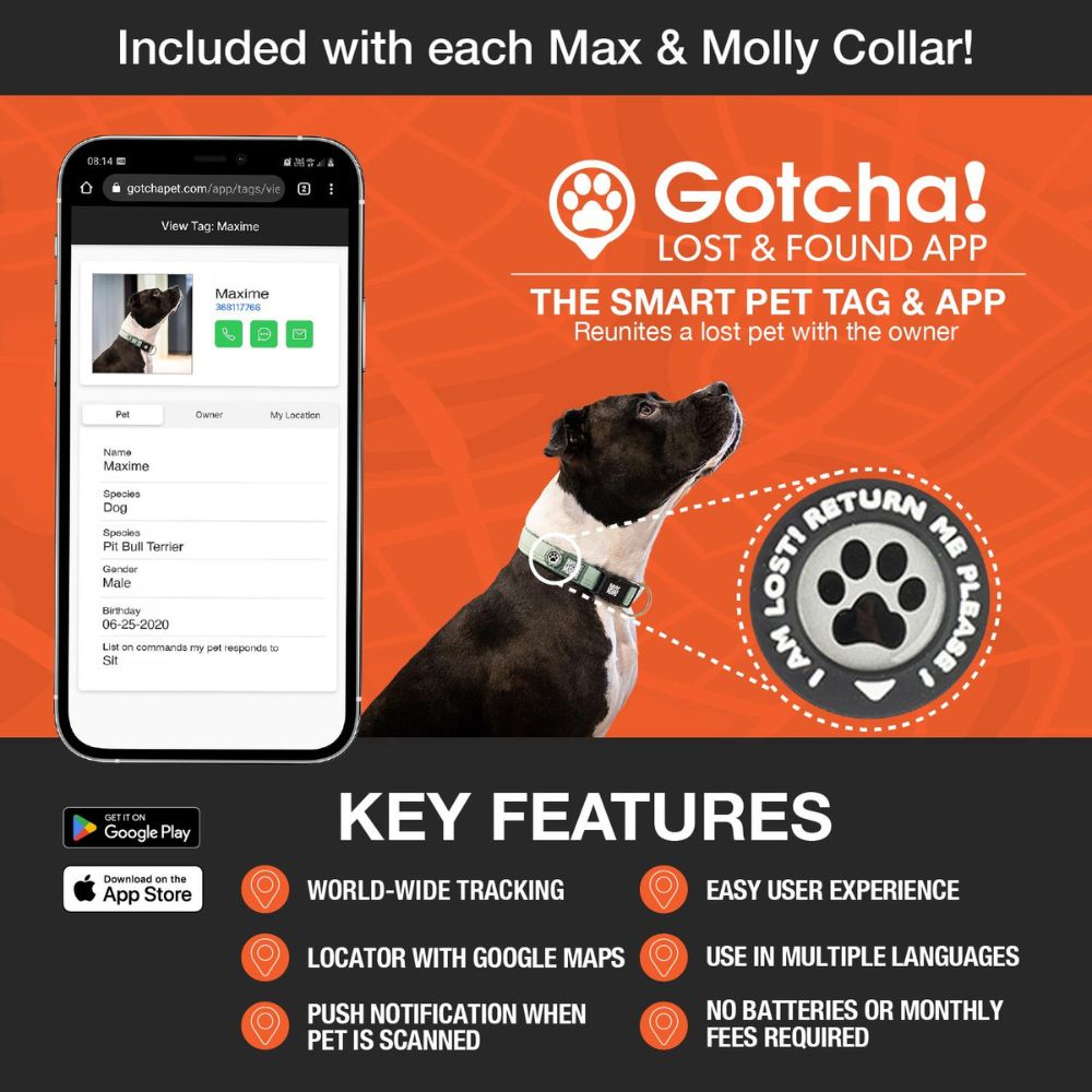 GOTCHA! Smart ID Tag