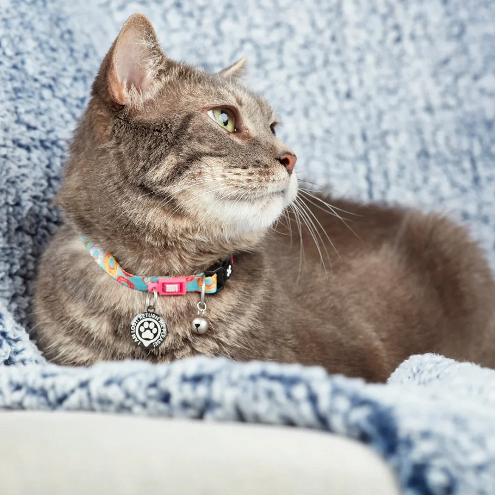 GOTCHA! Smart ID Tag