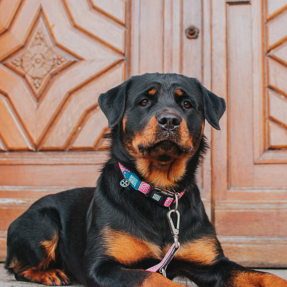 GOTCHA! Smart ID Tag