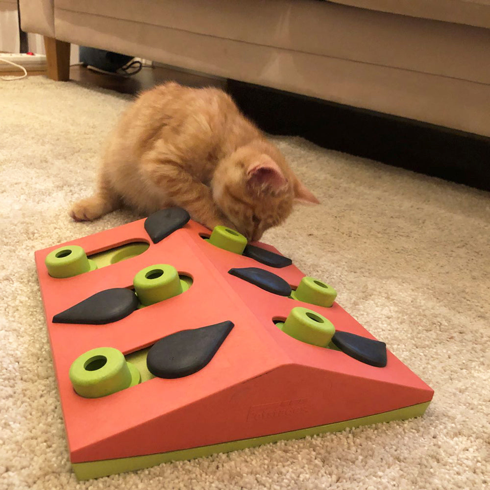 Melon Madness Cat Puzzle by Nina Ottosson