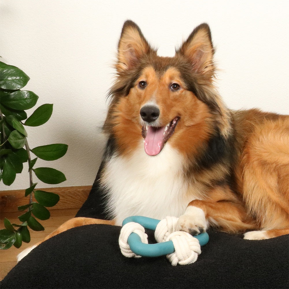 Milou Lagoon Dog Toy