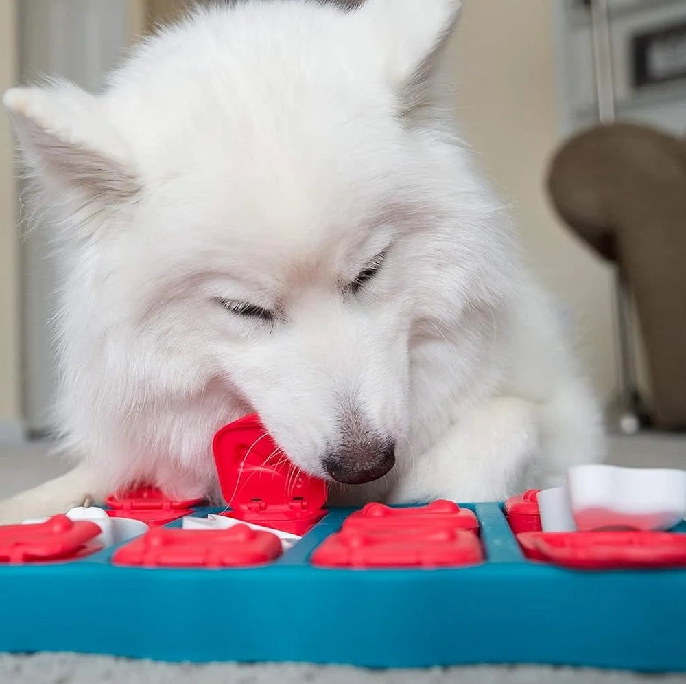 Dog Brick – Interactive Treat Puzzle Toy