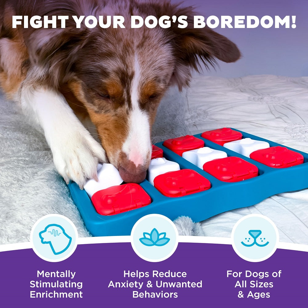 Dog Brick – Interactive Treat Puzzle Toy