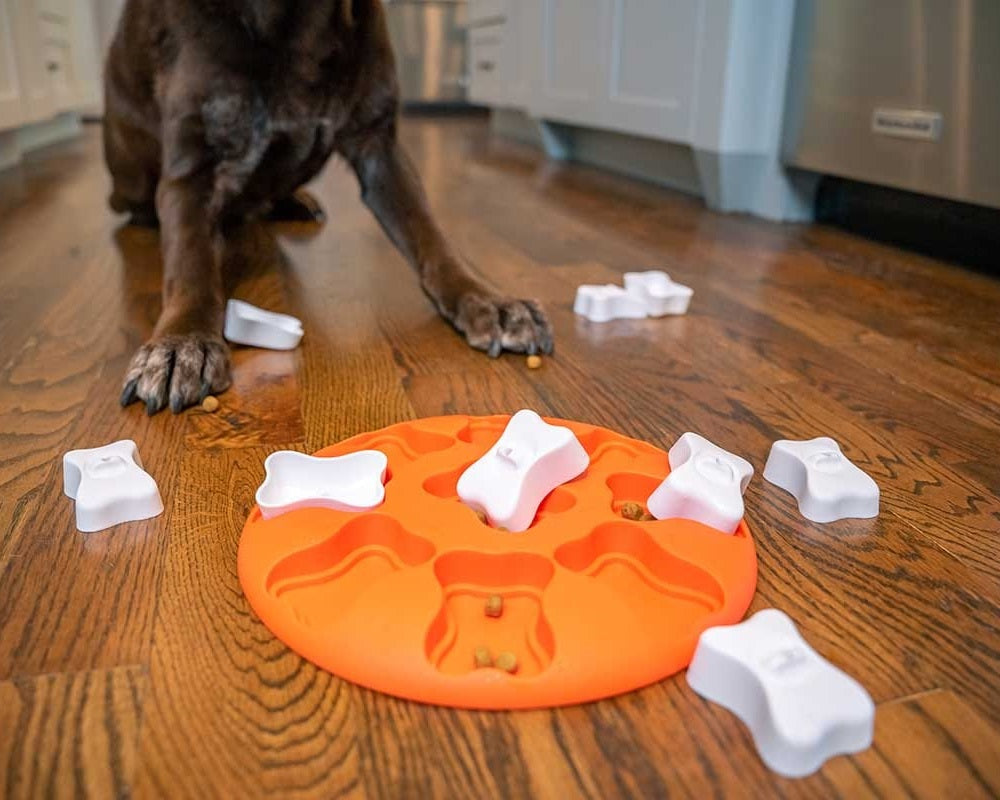 Dog Smart Interactive Treat Puzzle Dog Toy (Orange)