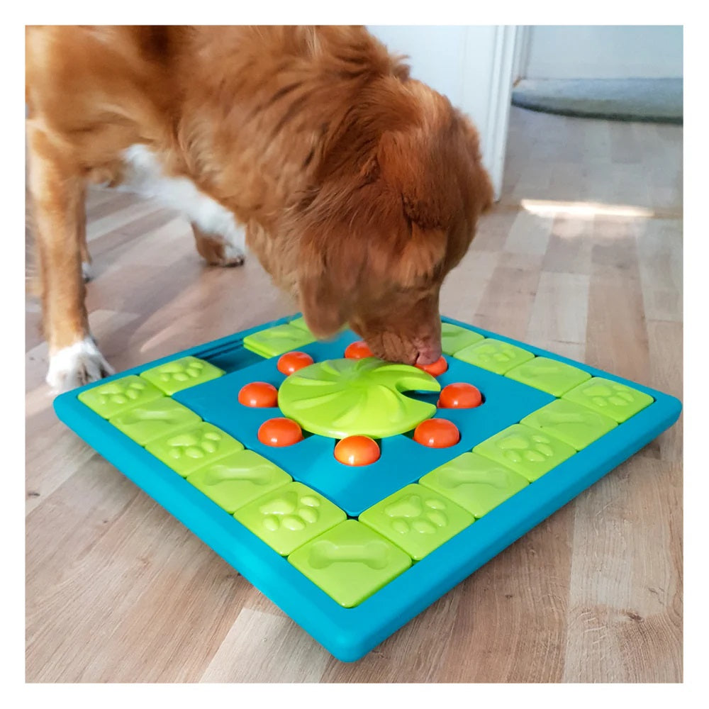 Dog Multi Puzzle - Interactive Treat Puzzle Feeder – Level 4