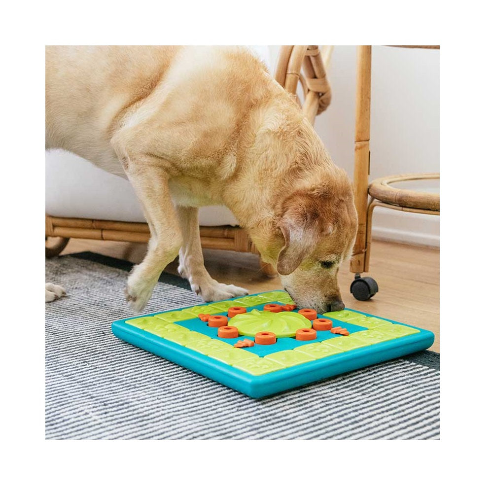 Dog Multi Puzzle - Interactive Treat Puzzle Feeder – Level 4