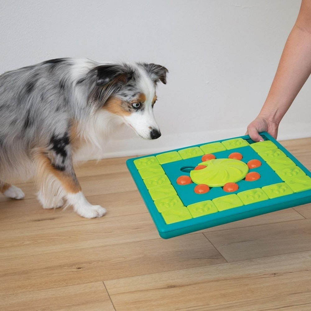 Dog Multi Puzzle - Interactive Treat Puzzle Feeder – Level 4