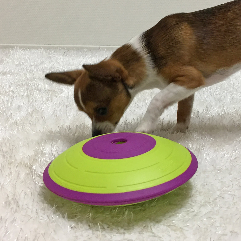Nina Ottosson Dog Treat Maze