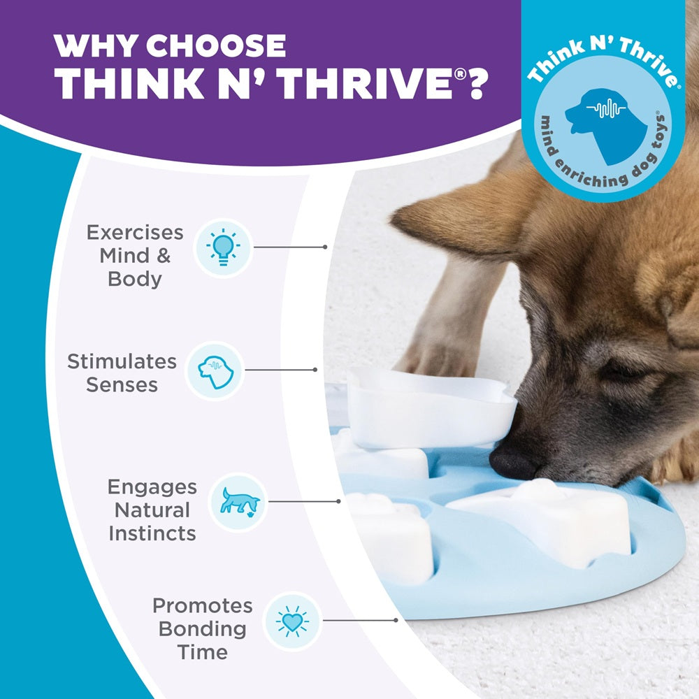 Puppy Smart Interactive Treat Puzzle