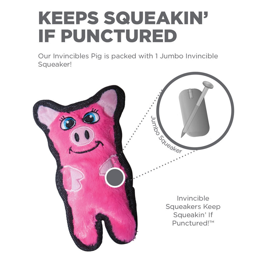 Durablez Minis by Outward Hound