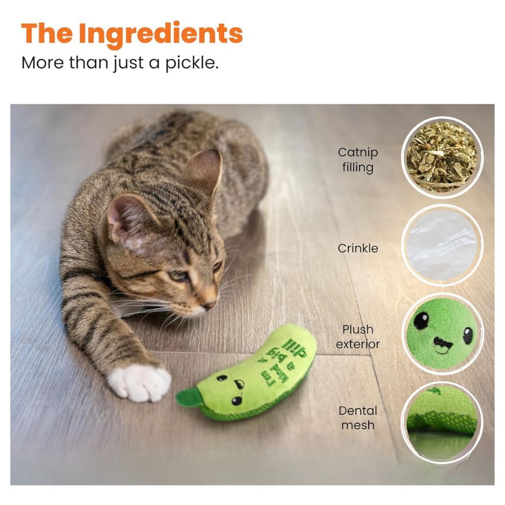Catstages Crunchy Pickle – It’s a big Dill