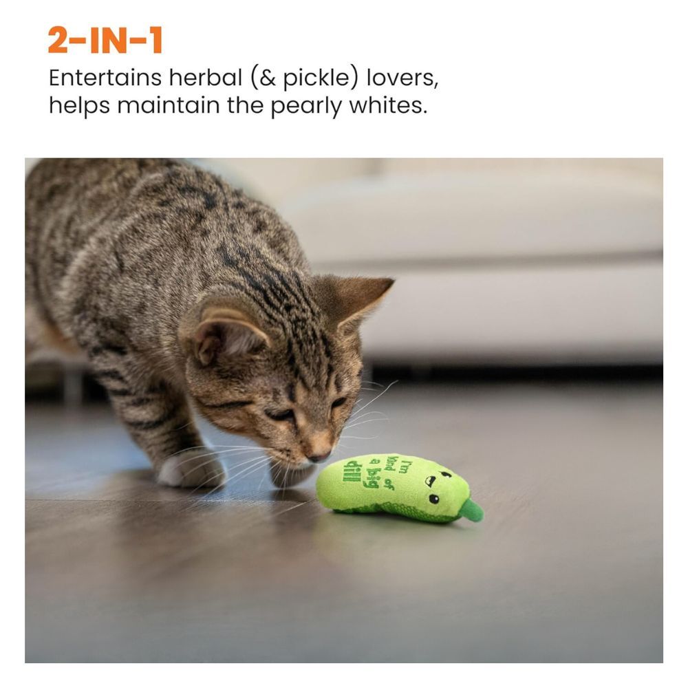 Catstages Crunchy Pickle – It’s a big Dill