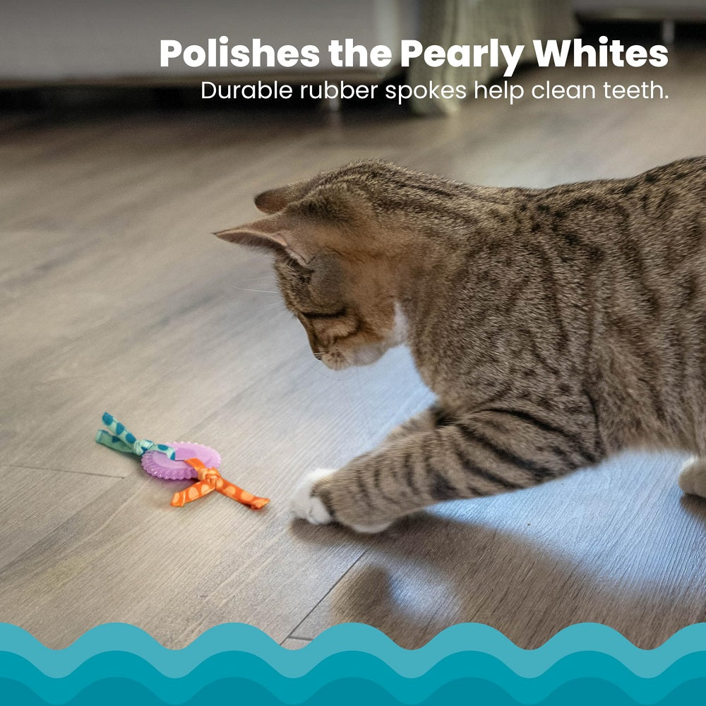 Petstages Dental Kitty Chew Wheel