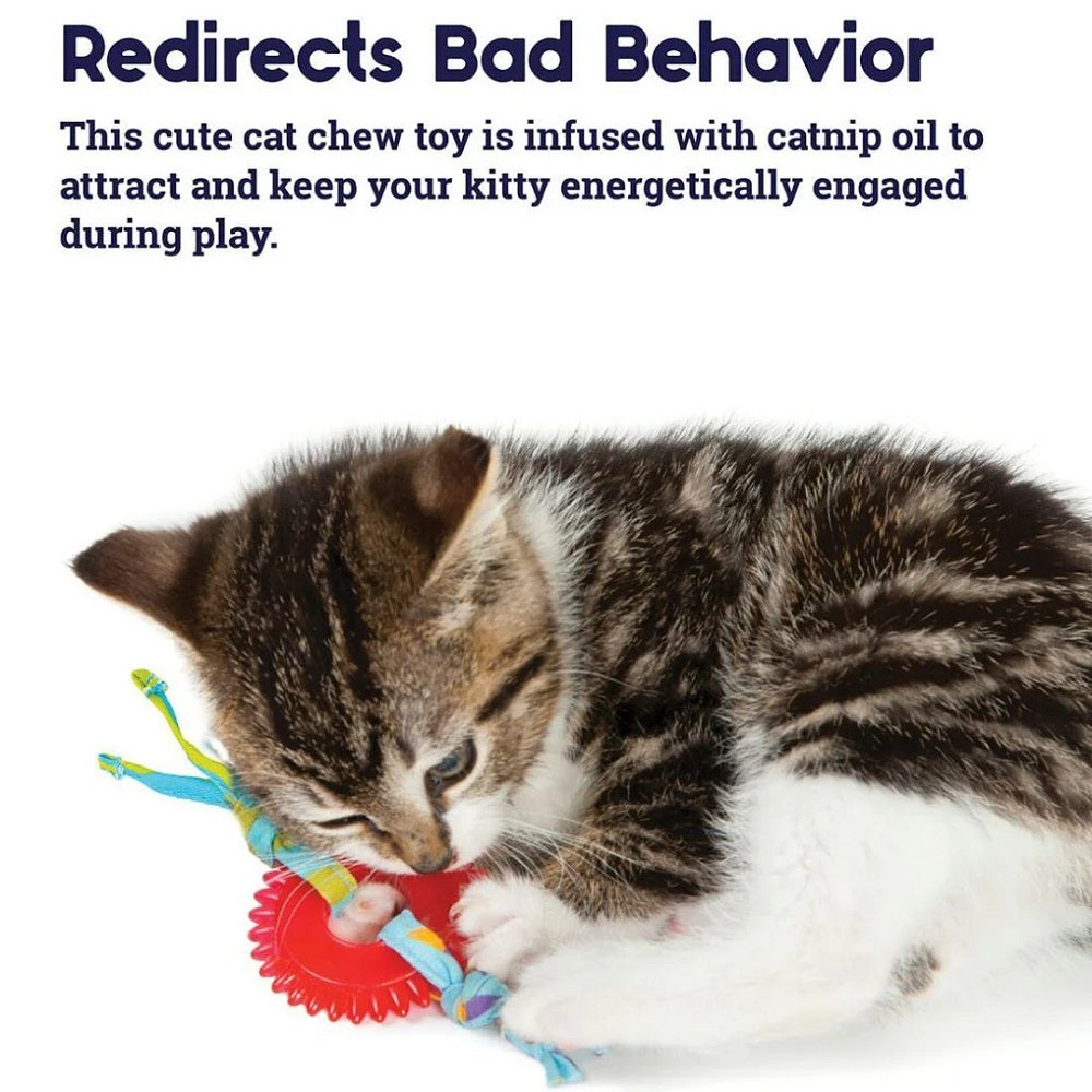 Petstages Dental Kitty Chew Wheel
