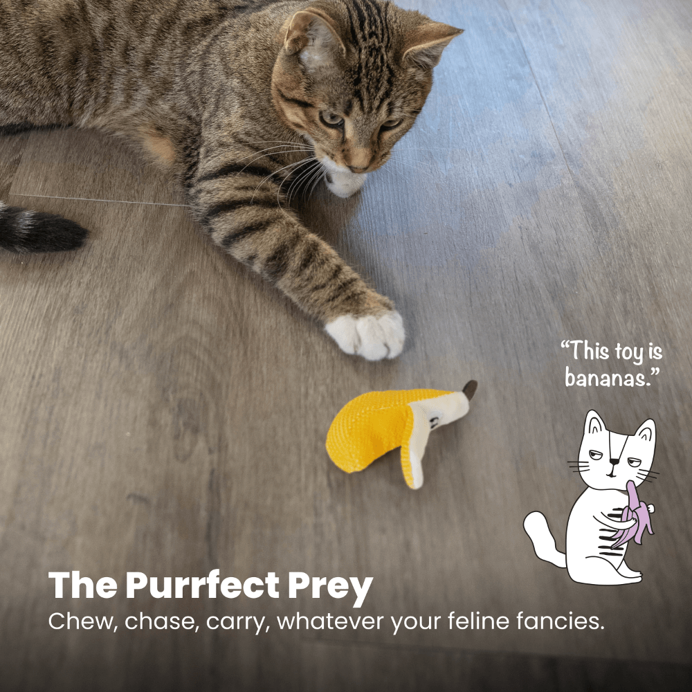 Catstages Dental Banana Cat Toy