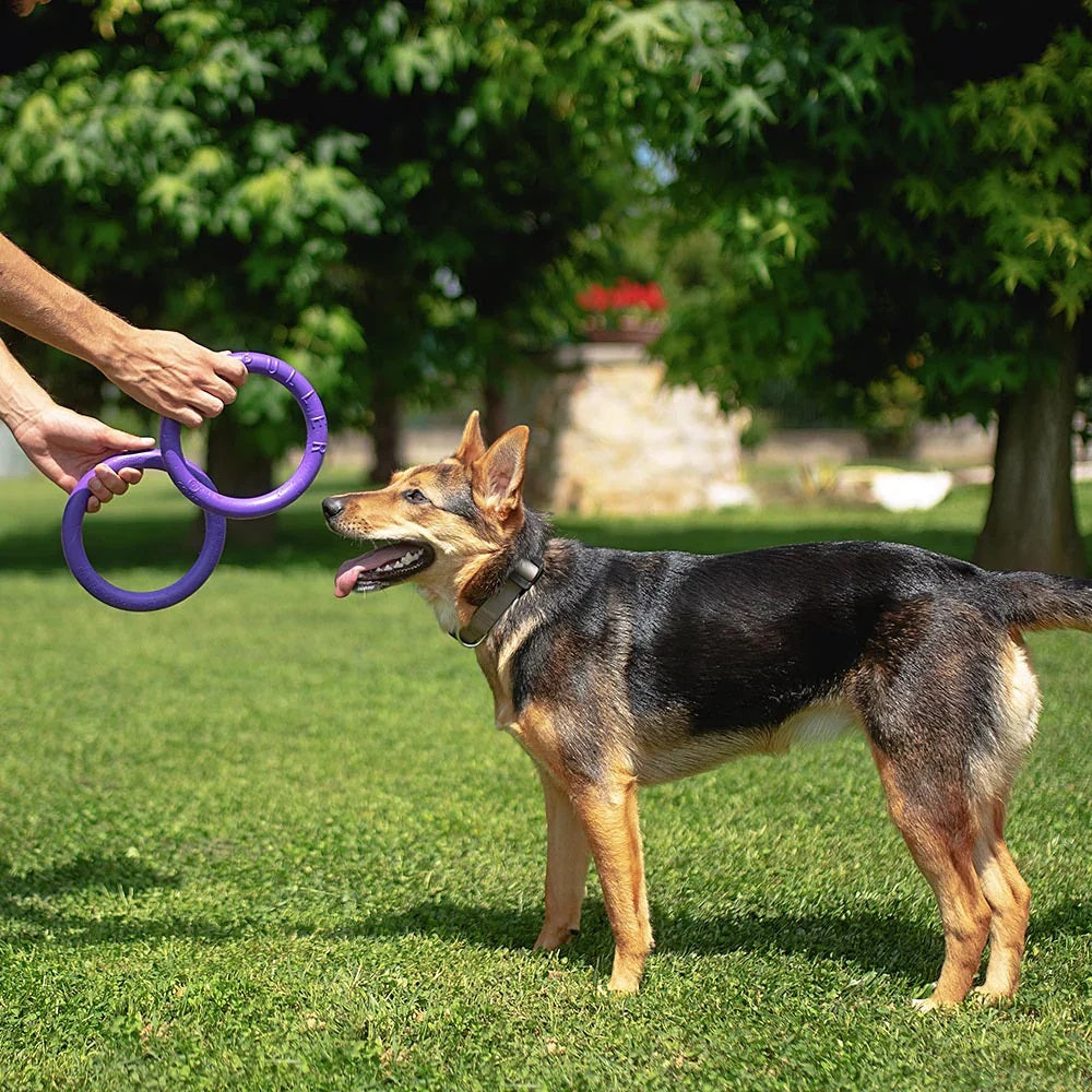 Puller Exercise and Play Rings